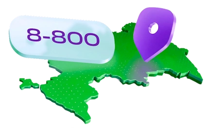Номер 8-800